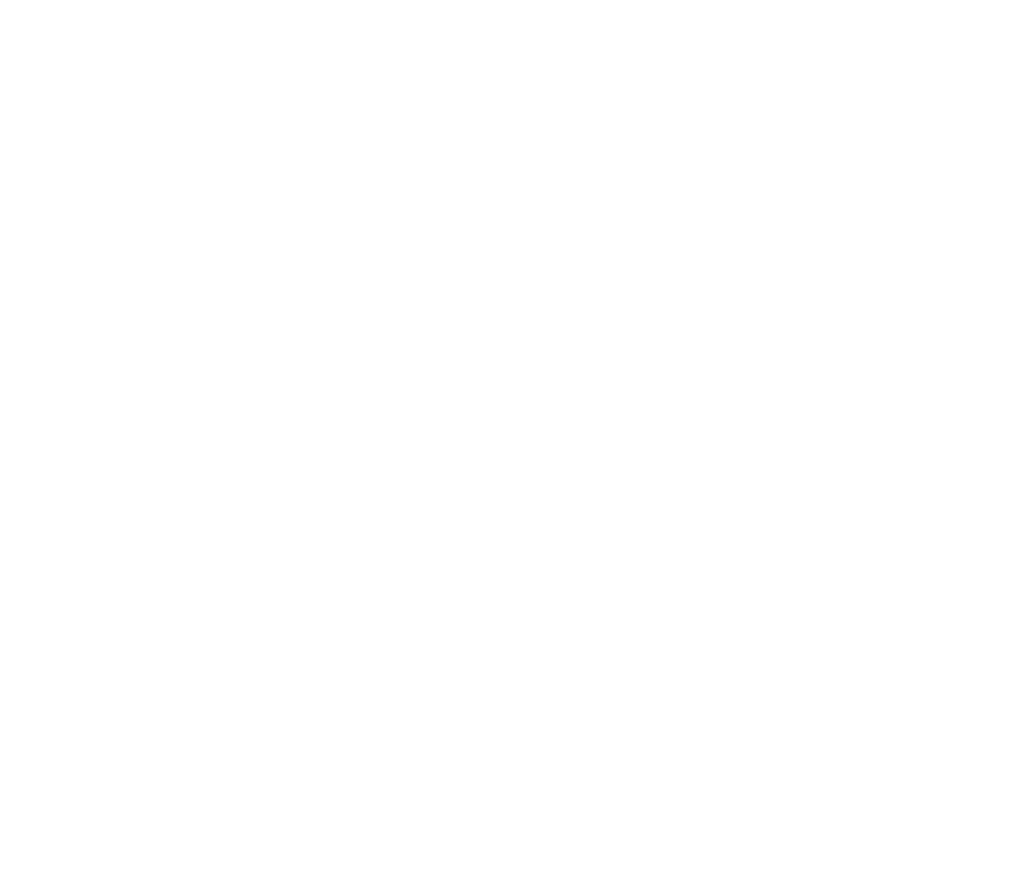 Paris Basket